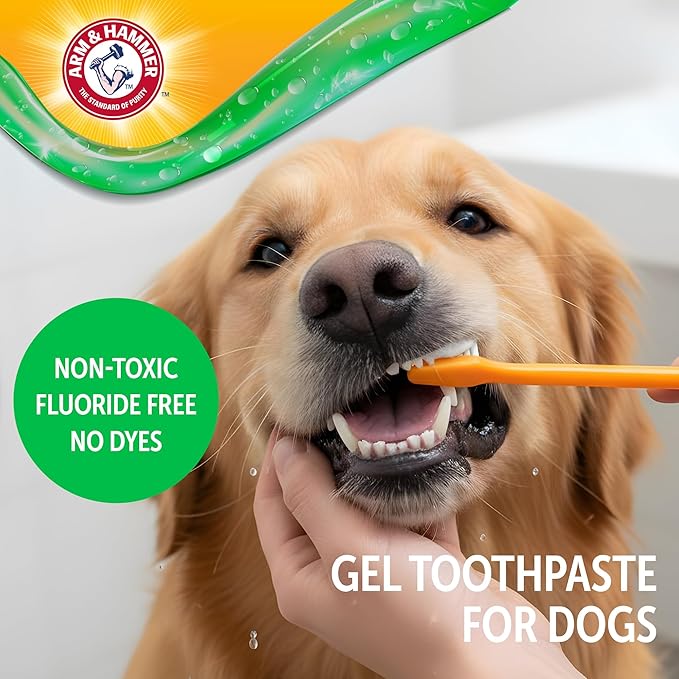 Arm & Hammer Complete Care Dental Gel Dog Toothpaste, Gel-Style for Gentle Enamel Care, Fresh Breath, Tartar Control, Baking Soda Enhanced, Fluoride Free, Chicken Flavor, 2.5 Oz