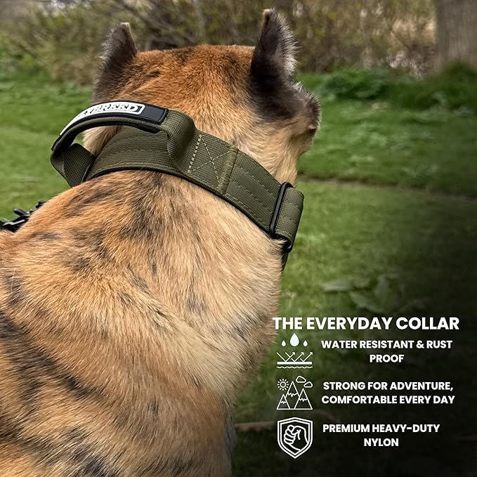 Heavy Duty Dog Collar, Tactical Dog Collar, Dog Collars for Medium Dogs, Waterproof Dog Collar, Dog Training Collar, Quick-Release Metal Buckle, Adjustable Sizes – BULLYBREED (Olive Green, Medium)