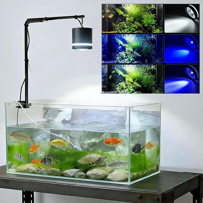 LIYAOLI Clip-On Led Fish Tank Light, Adjustable Tri-Spectrum Aquarium Light for Plants,Hanging Fish Tank & Freshwater Plants | Full Spectrum Spotlight (White/Blue Light - 1 Pack)
