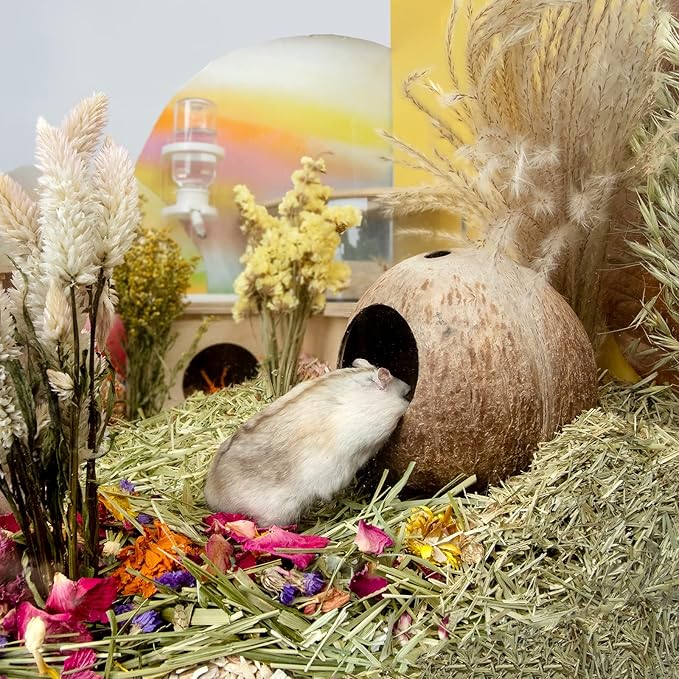andwe Coconut Hut Hamster House Bed for Gerbils Mice Small Animal Cage Habitat Decor