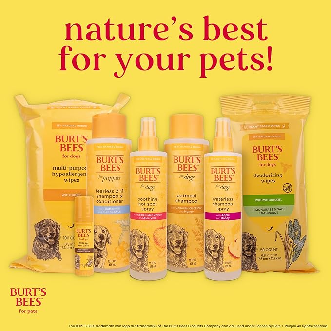 Burt’s Bees for Pets Dog Wipes for Daily Grooming with Witch Hazel - Deodorizing Wipes That Clean Paws and Face, 98% Natural Origin, Waterless Bath Formula, 100 Count
