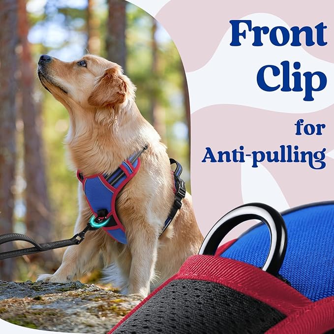 rabbitgoo Dog Harness Small Sized, No Pull Pet Harness with 3 Buckles, Adjustable Soft Padded Vest with Control Handle, Walking Reflective Pet Vest for Small Dogs, Royal Blue & Red, S