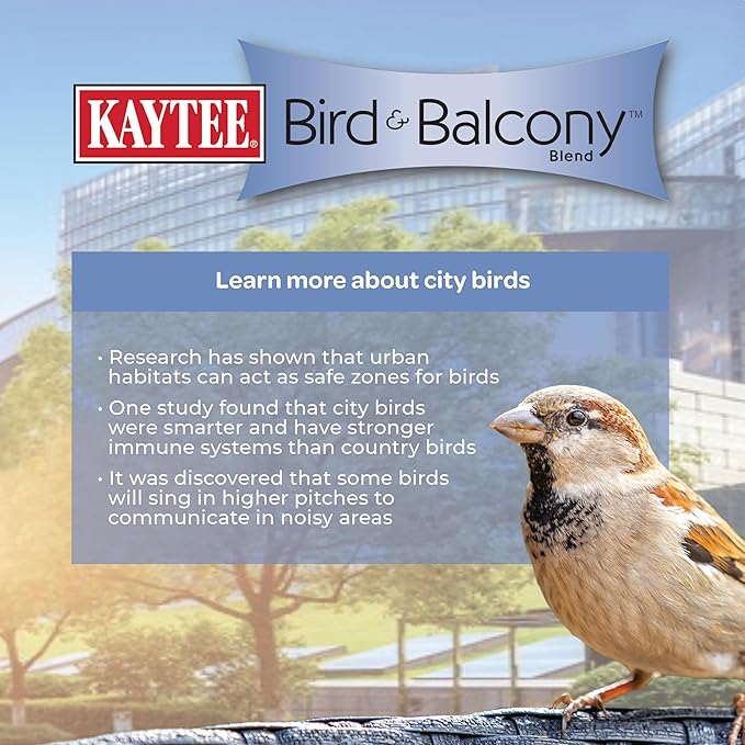 Kaytee Bird & Balcony Wild Bird Food No Mess Seed Blend for City Dwelling Birds Like Finches, Sparrows, Mourning Doves and More, 5 lb