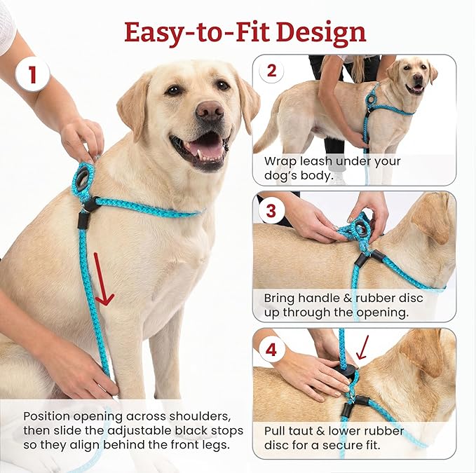 Harness Lead No Pull Dog Harness and Leash Set, Anti Pull Dog Harness, One-Piece Cushioned Rope Safely Prevents Escaping and Pulling (Small/Medium, Red/Reflective)