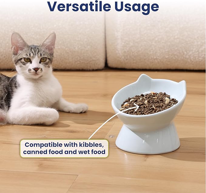PawsPik Lynx Ceramic Raised Slow Feeder Dog & Cat Bowl, Tilted 15° Elevated Pet Food Bowl, Whisker-Friendly Anti-Choking Dish, Dishwasher Safe (Sky Blue)