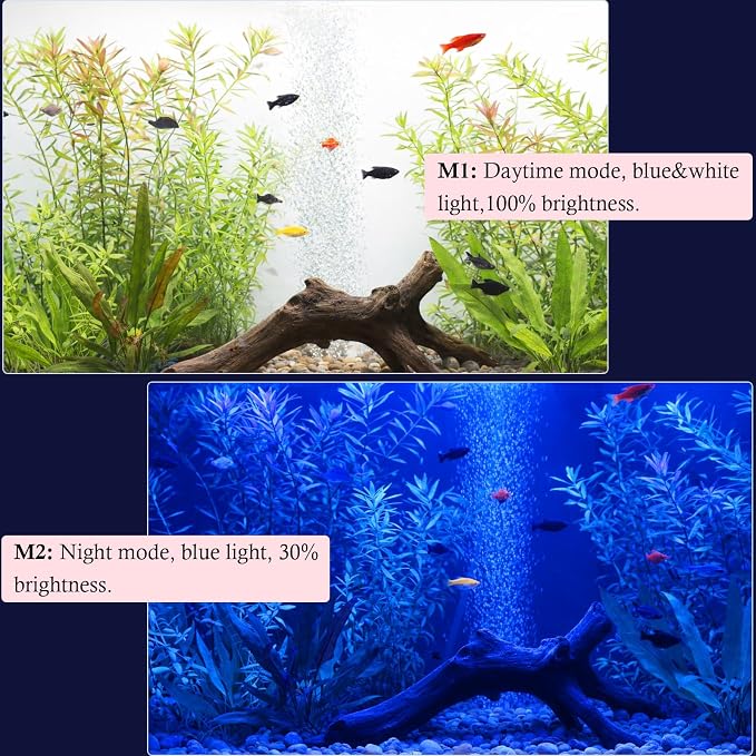 Dirvin LED Fish Tank Light with Timer, 24/7 Mode & 3 Color Aquarium Light | Submersible Adjustable Brightness, IP68 Waterproof, Sunrise-Daylight-Moonlight, Auto On/Off for fresh and salt water, 11W