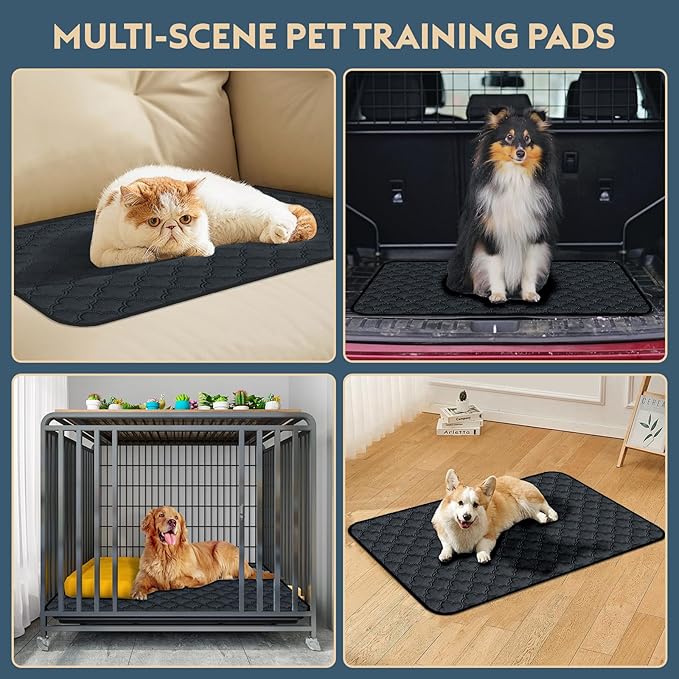 FunFurry Washable Pee Pads - 2 Pack Reusable, Waterproof, Super Absorbent Dog Training Pads with Non-Slip Backing (Dark Grey, 41" X 41")