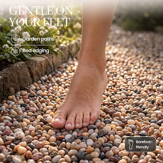 DOMESTAR River Rocks, Fish Tank Gravel, Pebbles for Plants Decorative | Stones for Potted, Vase Filler, Home Decor, Fish Tank, Garden Landscaping, Flower Beds (1 Pound)