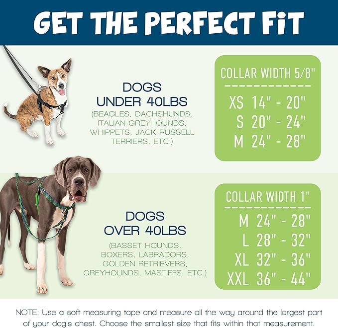 2 Hounds Design Freedom No Pull Dog Harness, Adjustable Harness, Easy Walking & Comfortable Control, Fits Small, Medium & Large Dogs, Solid Colors, Made in USA, 5/8" SM, Teal
