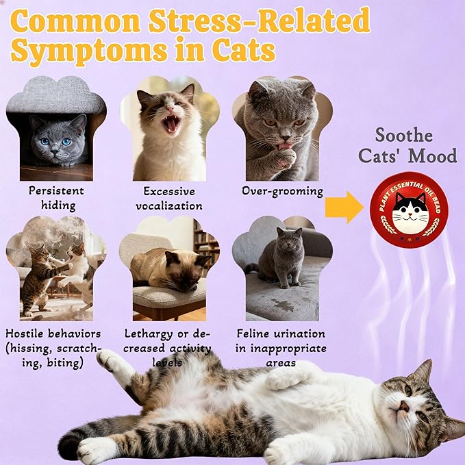 xcivi Pop Patch for Cat Calming Diffuser, Cat Anxiety Relief Stress Reduction, Cat Calming Pheromones Help Anxiety, Enhanced Calming, Cat Calming Patches for Travel, Car & Home Use