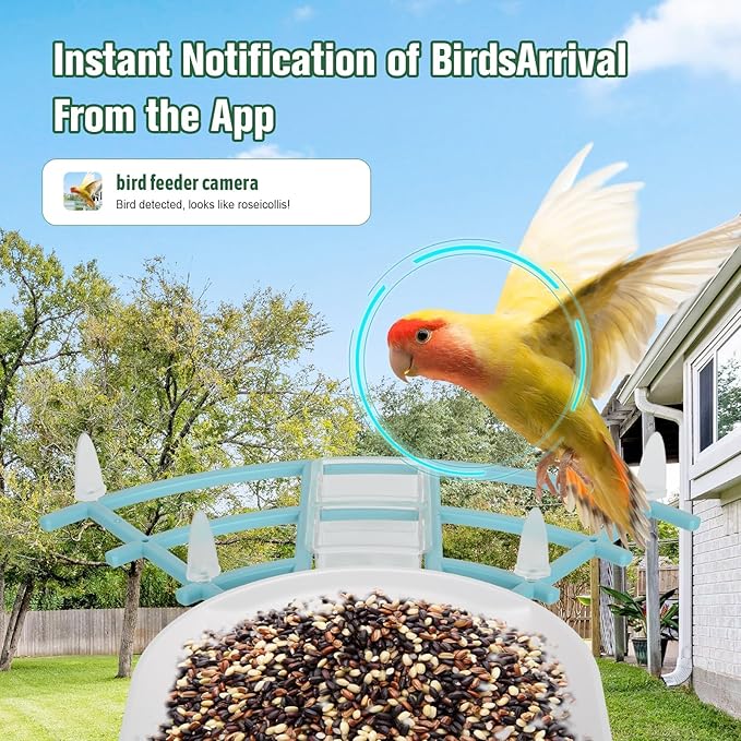 Bird Feeder with Camera, AI Identify Birds Species, Smart Bird Feeder with Camera Solar Powered, Auto 2K HD Video in Backyard, Ideal Gift for Family and Birds Lovers