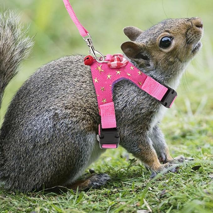 Wontee Small Pet Harness Vest and Leash Set with Bowknot and Bell Decor for Gerbil Guinea Pig Squirrel Kitten Outdoor Walking (S, Pink Star)