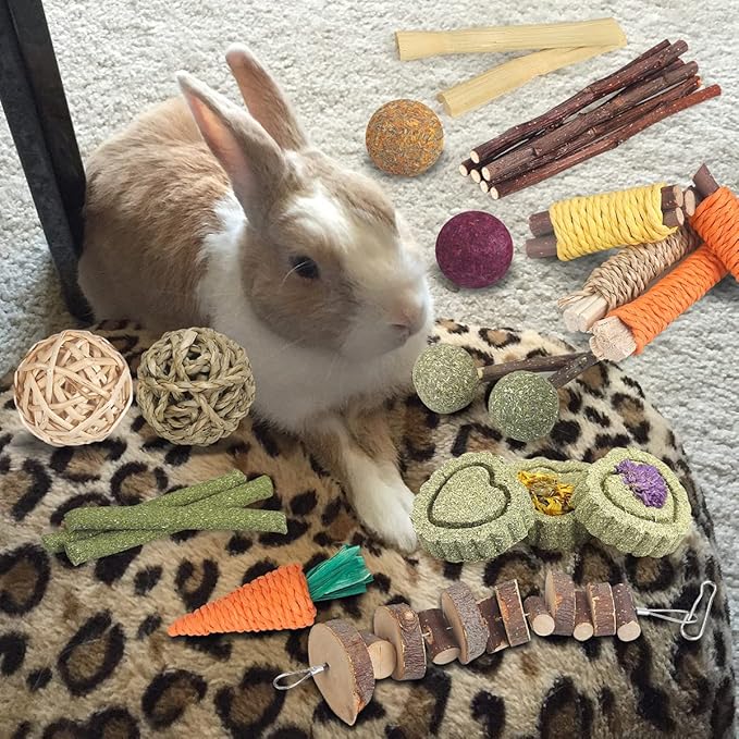 YIXUND Rabbit Toys Bunny Toys 26Pcs Natural Timothy Hay Sticks Apple Wood Sticks Handmade for Guinea Pig Hamster Rat Chinchilla