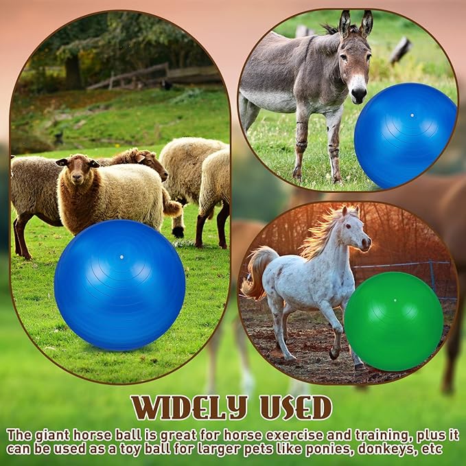 Sotiff 2 Pcs 40 Inch Horse Ball for Play Large Horse Big Equine Herding Anti Burst Dog Ball Soccer Giant, Pump Included(40 Inch,Green, Blue)