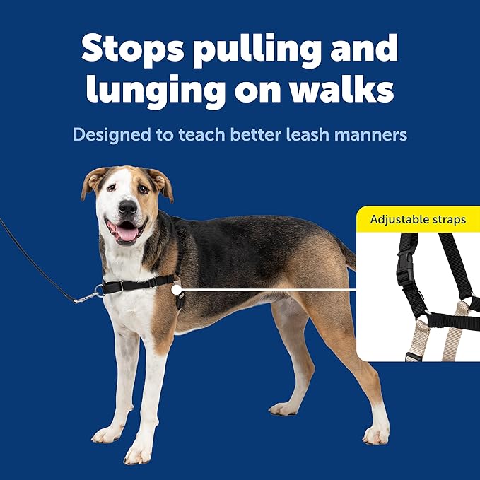 PetSafe Easy Walk No-Pull Dog Harness - The Ultimate Harness to Help Stop Pulling - Take Control & Teach Better Leash Manners - Helps Prevent Pets Pulling on Walks, X-Large, Black/Silver