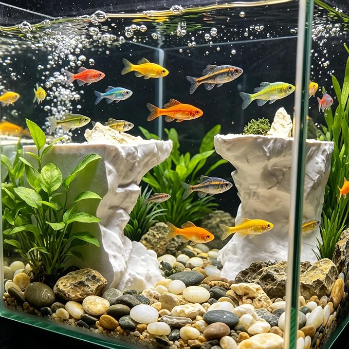 Saim Aquarium Underground Cave with Viewing Ports, Substrate-Friendly Under Gravel Tunnel Hideout, Natural Curve Corner Decor for Pleco, Shrimp, Corydoras & Kuhli Loach (Small)