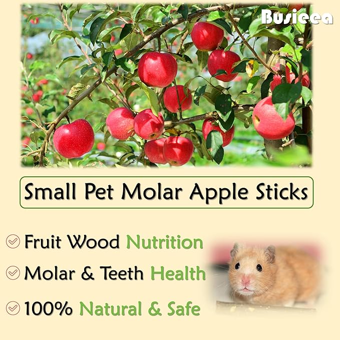 Premium Natural Apple Sticks - 250g/8.82 OZ Molar Chew Treats for Rabbits Chinchillas Guinea Pigs Hamsters Small Animals