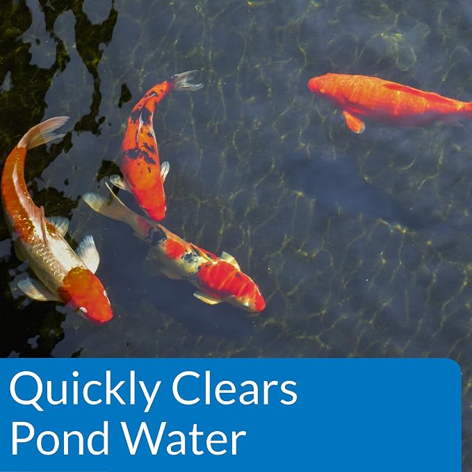 API Pond ACCU-Clear (64 fl oz) Water Clarifier - Improves Filter Efficiency | Quickly Cleans Cloudy Pond Water - Treats Up To 9,600 Gallons - Safe for Pets & Wildlife - Weekly Maintenance or As Needed