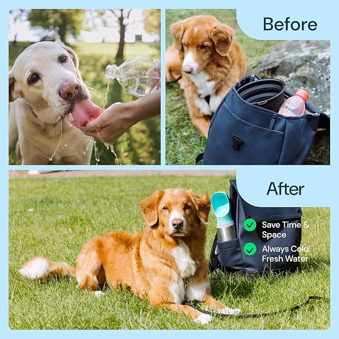 MalsiPree Leak Proof Stainless Steel Portable Dog Water Bottle - 24 oz, Blue Water Dispenser for Pets - Outdoor Dog Travel Water Bottle - for Trail Hiking, Park Visit & Beach Days