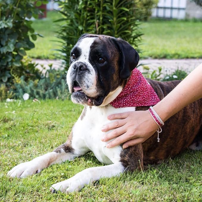 Pettsie Hemp Dog Bandana Collar & Matching Owner Friendship Bracelet | Soft & Durable Hemp, Removable Scarf, Matching Owner Friendship Bracelet, Gift-Ready Set, Red