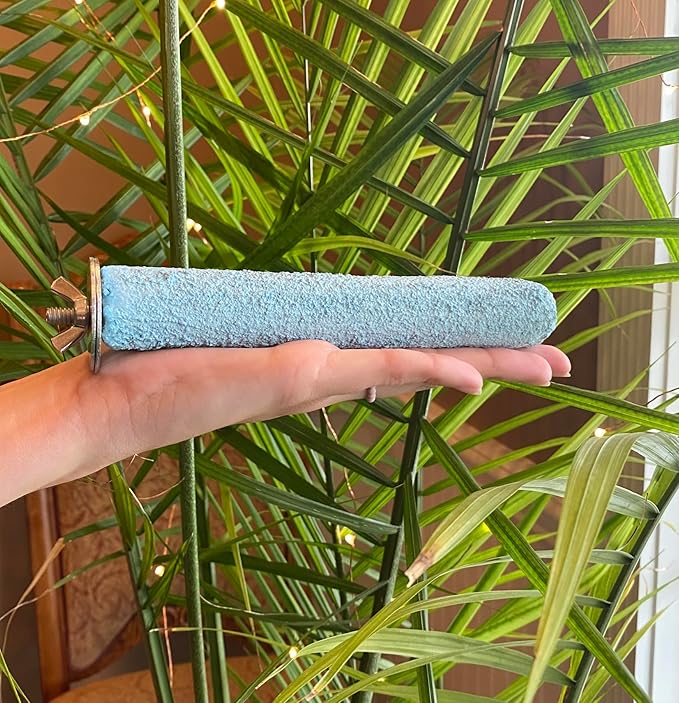 Polly's Pastels Nail Trimming & Beak Conditioning Safety Perch for Cockatiels, Cockatoos, Macaws, Parakeets, Budgies, Parrots and All Other Birds (Blue, Medium-1 1/4" Dia. x 8" Long)