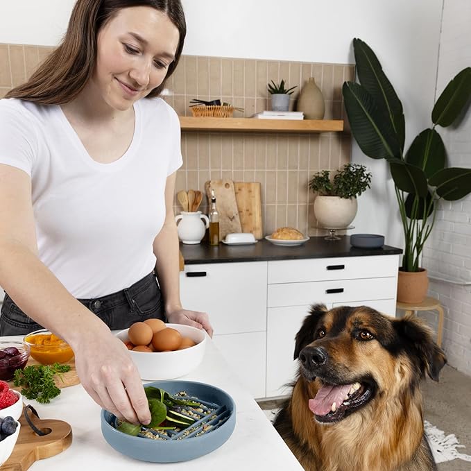 Should We Go? Slow Feeder for Dogs & Puppies, The Slowdown Bowl Silicone Slow Eating, Modern Lick Mat Design, Reduces Gulping, Fits 2 Cups, 7.5” Across x 1.5” Tall, Mealtime Challenge, Medium-Ocean