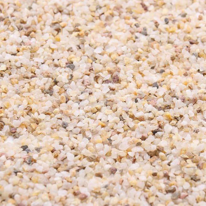 Golden Coarse Sand for Plants, Horticultural Sand, 1/8 Inch, 2 lbs