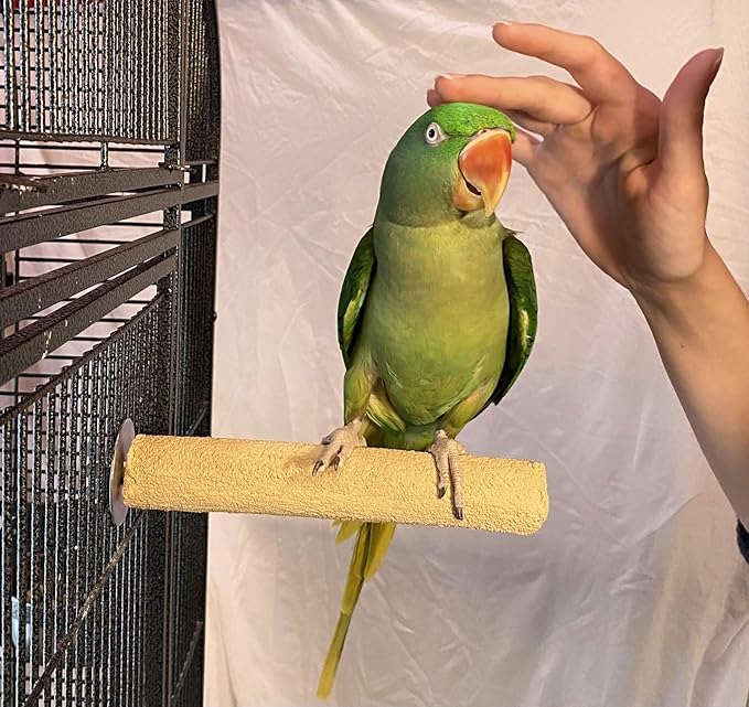 Polly's Pastels Nail Trimming & Beak Conditioning Safety Perch for Cockatiels, Cockatoos, Macaws, Parakeets, Budgies, Parrots and All Other Birds (Brown, Medium-1 1/4" Dia. x 8" Long)
