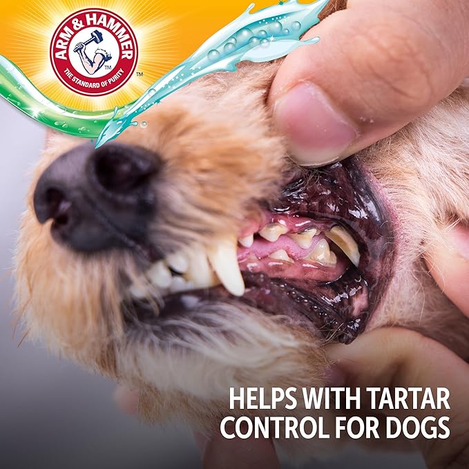 Arm & Hammer Complete Care Brushless Dental Kit for Dogs – Includes No-Brush Oral Gel + Dog Dental Spray, Fresh Breath, Tartar Control, Baking Soda Enhanced Dental Dog Supplies, 4 Fl Oz Each