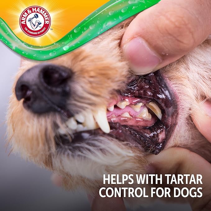 Arm & Hammer Complete Care Dental Gel Dog Toothpaste, Gel-Style for Gentle Enamel Care, Fresh Breath, Tartar Control, Baking Soda Enhanced, Fluoride Free, Chicken Flavor, 2.5 Oz