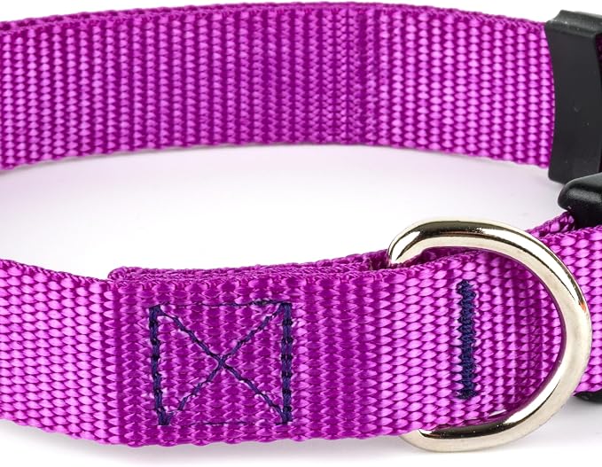 Country Brook Petz - Everyday Nylon Dog Collar and Leash - 10+ Cool Colors (1 Inch, Large, Bright Purple)
