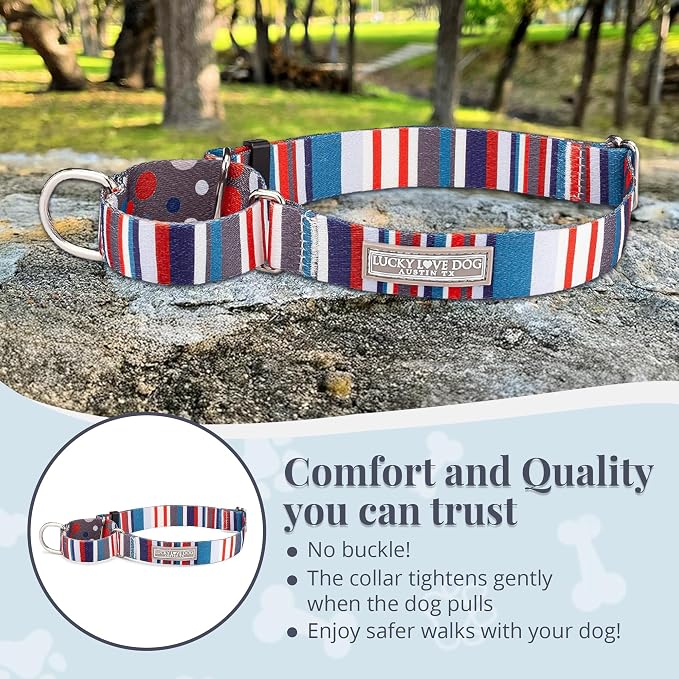 Lucky Love Dog - Adjustable Dog Collar with Easy Click Buckle for Medium, Durable, & Comfortable for Male & Female Dogs, Pet Collar for Puppies & Adult Dogs - Linus Martingale, Medium
