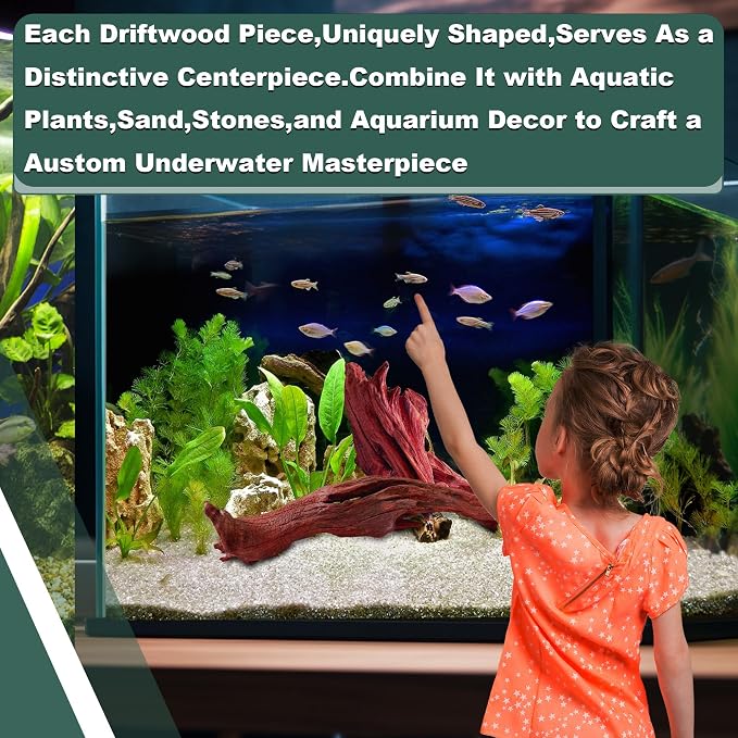 Natural Wood Driftwood for Aquarium Fish Tank Decor,Assorted Driftwood Trunk Branch for Reptile Tank Decor (MOP-ZYM Driftwood+Branch (8 to12 Inch)-Pack of 2)