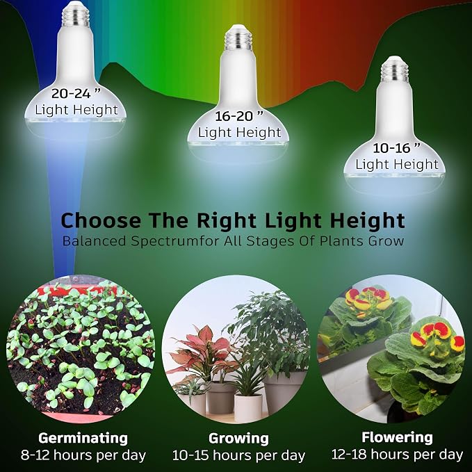 Full Spectrum Led Indoor Plant Grow Light Bulbs 15W 2000lm E26 BR30 | Floodlight Sun Plant Growing Lamp,200 Watt Equival,Balanced 5000K Red Blue for Seeds Greens,Indore Garden, Hydroponic,2pcs