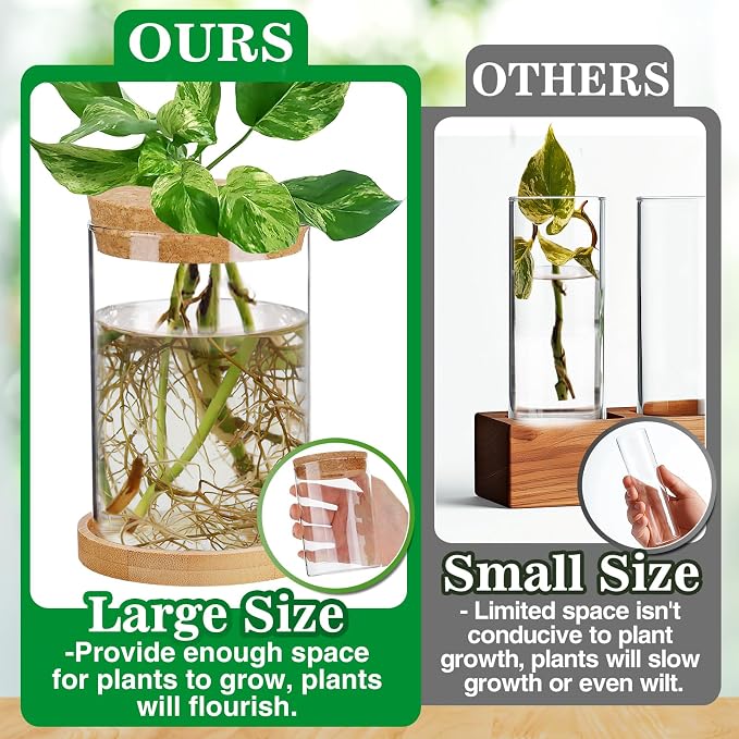 Plants Propagation Station, Gardening Gifts for Women Mom Plant Lovers | Biggun 2Pcs Desktop Plant Terrarium Glass Hydroponic Vases, Water Plant Jars (Thick Straight Shape, Separated Tray Style)