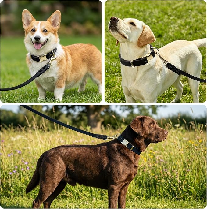 Leather Dog Collar and Leash Set, 6FT Heavy Duty Leather Training Leash with Adjustable Dog Collar, Soft and Durable Dogs Leashes and Collars Set for Small Medium Large Dogs (Black, L)