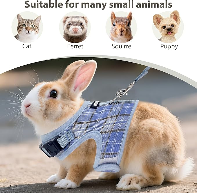 AIITLE Breathable Rabbit Harness and Leash Set - Plaid Pattern Padded Vest with Magic Tape Design, Dual D-Rings, Adjustable for Small Animal Pets, Indoor Outdoor Training Camping, Blue M