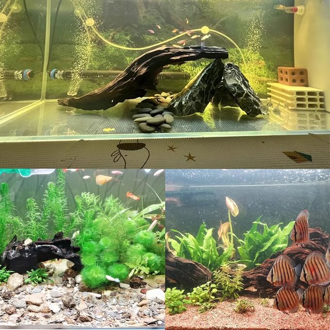 Tfwadmx Natural Driftwood Aquarium Decor Wood Branches, 3 Pieces 7-9.5" Fish Tank Driftwood Decoration, Terrarium Mopani Wood for Aquarium Freshwater Reptile Tank