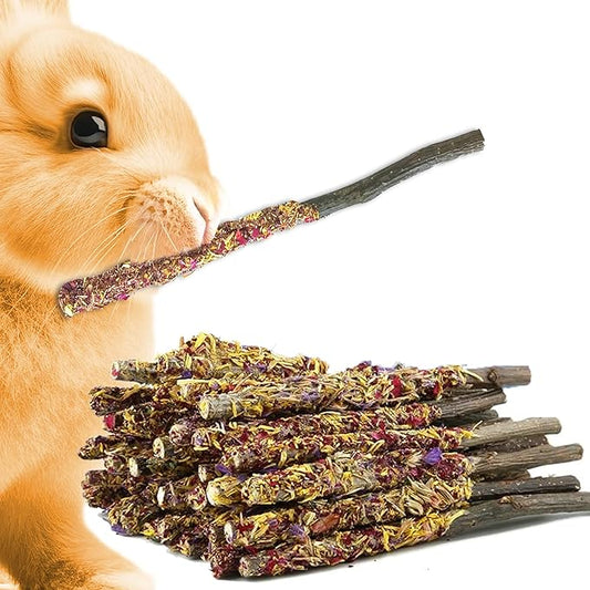 SunGrow Apple Sticks, Wood Chew Treats for Rabbits, Chinchillas, Bunny, Hamster, Squirrel, Guinea Pigs, Small Animals Molar Pet Chew Toys for Teeth Grinding (20 Pcs)