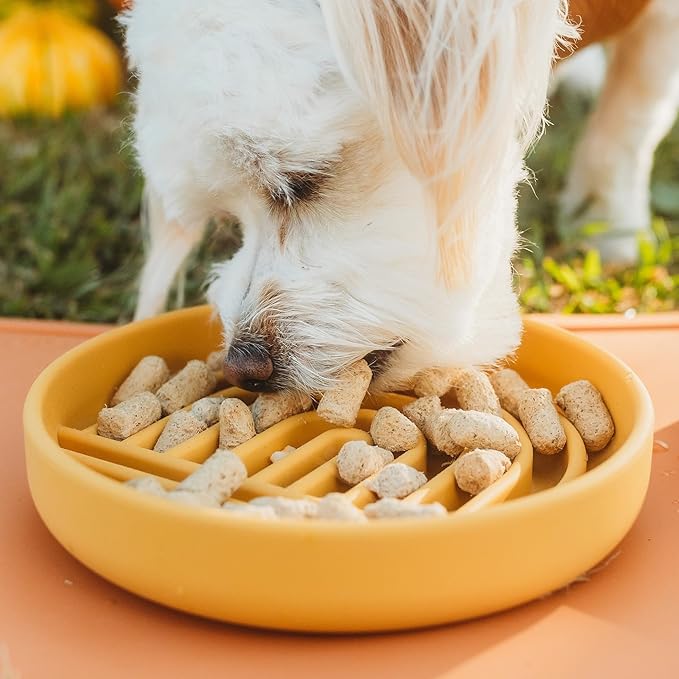 Should We Go? Slow Feeder for Dogs & Cats, The Slowdown Bowl Silicone Slow Eating Mealtime Solution with Modern Lick Mat Design, Reduces Gulping, Fits 1 Cup, 6” Across x 1.25” Tall, Small-Honey