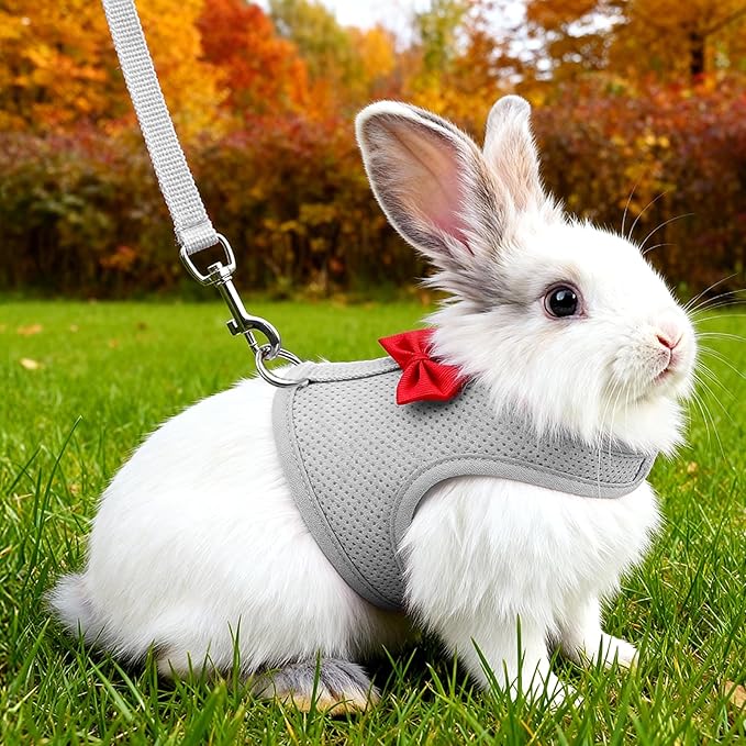 Breathable Soft Mesh Vest Harness & Leash Set for Rabbits, Bunny, Kitten, Ferret, Small Pig, Puppy, Small Pets – Gray, Medium