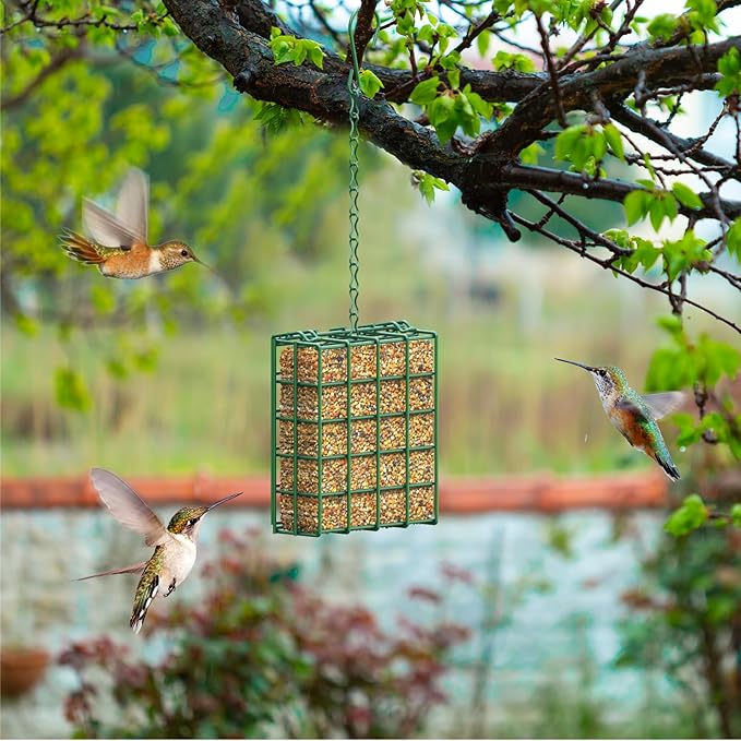 FLINTER Bird Feeder for Outdoors, Suet Feeder Hanging Bird Feeder, Hanging for Garden Yard Outside - Single Suet Cake Feeders fo Attracting Birds, Green