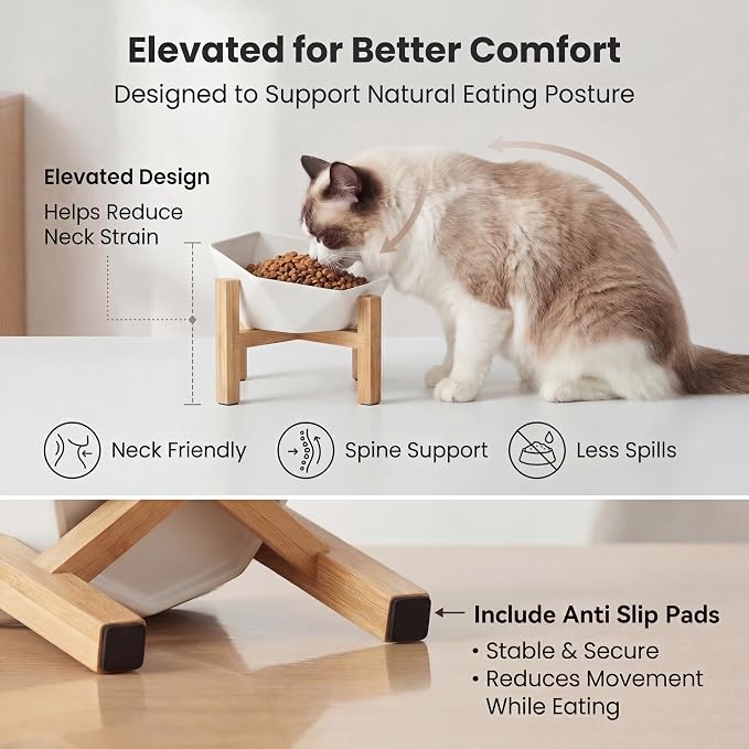 Ceramic Tilted Raised Cat Bowl - Elevated Food Bowl for Indoor Cats & Small Dogs - Shallow Wide Whisker-Friendly Design - Pet Dish Suitable for Feeding Dry, Wet, Treats & Canned Food - White
