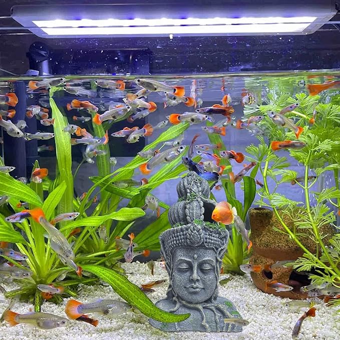 Hamiledyi Buddha Head Statue Aquarium Decorations Resin Fish Hideout Betta Cave for Large Fish Tank Ornaments Betta Sleep Rest Hide Play Breed(Small Size)