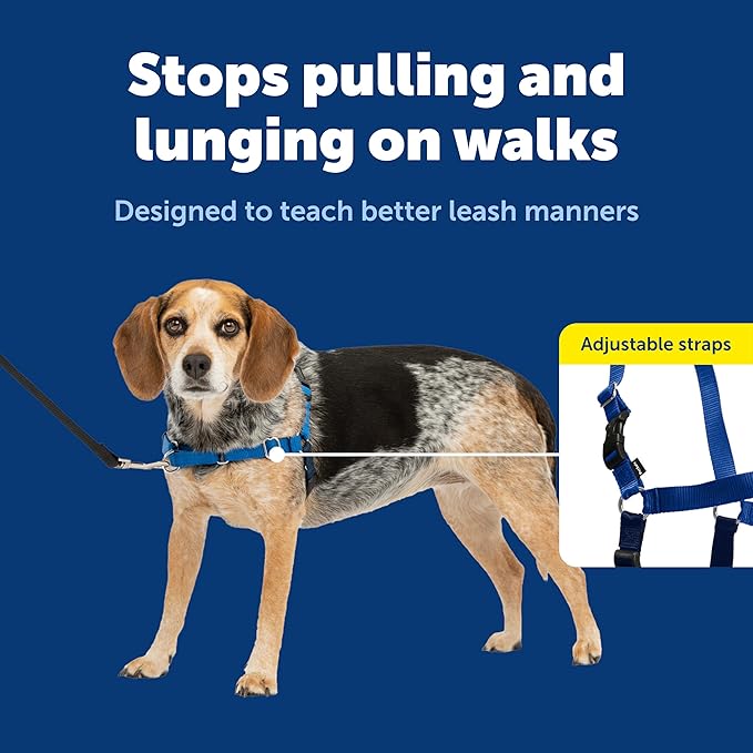 PetSafe Easy Walk Harness for Dogs - Pull-Free Walks - Patented Martingale Loop Design - Front Chest Leash Attachment - Comfort Straps - Breathable Harness Design - Small/Medium, Royal Blue/Navy Blue