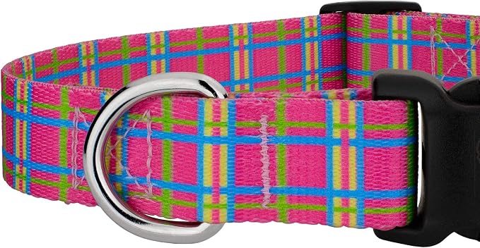 Country Brook Petz - Bubblegum Pink Plaid Everyday Collar and Leash - Plaid and Argyle Collection Featuring Charming Designs (1/2 Inch, Extra Small)