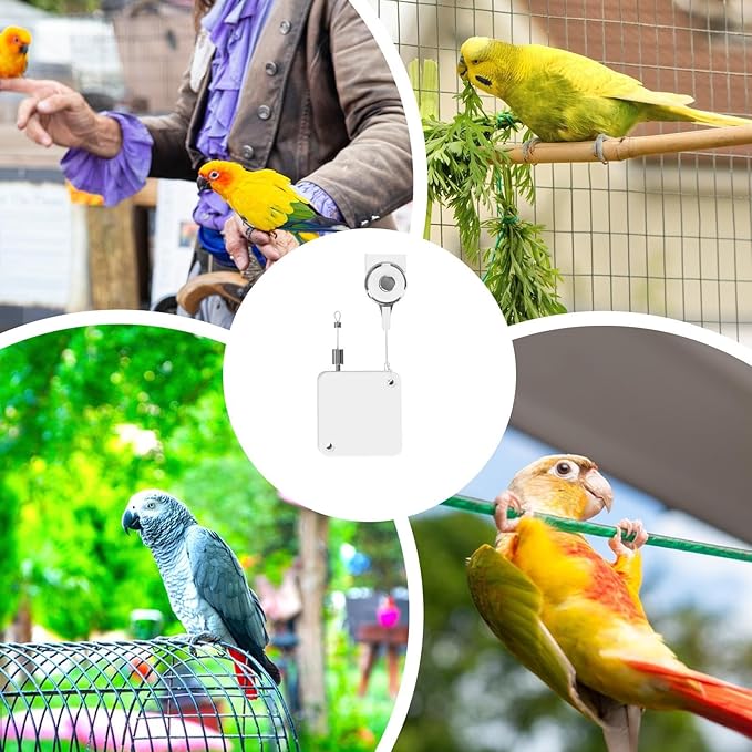 Parrot Leashes - Adjustable Flying Rope, Soft Foot Ring Strap, Lightweight Training Harness | Outdoor Bird Accessory for Parakeet Cockatiel Macaw Conure Parrotlet Lovebird Flights Safety Exercise