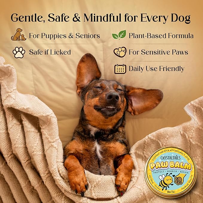 Dog Paw Balm for Dogs – Lick Safe Paw & Nose Balm for Dry, Cracked Paws, Non-Toxic Daily Paw Care, with Beeswax & Cocoa Butter (2oz) (60g)