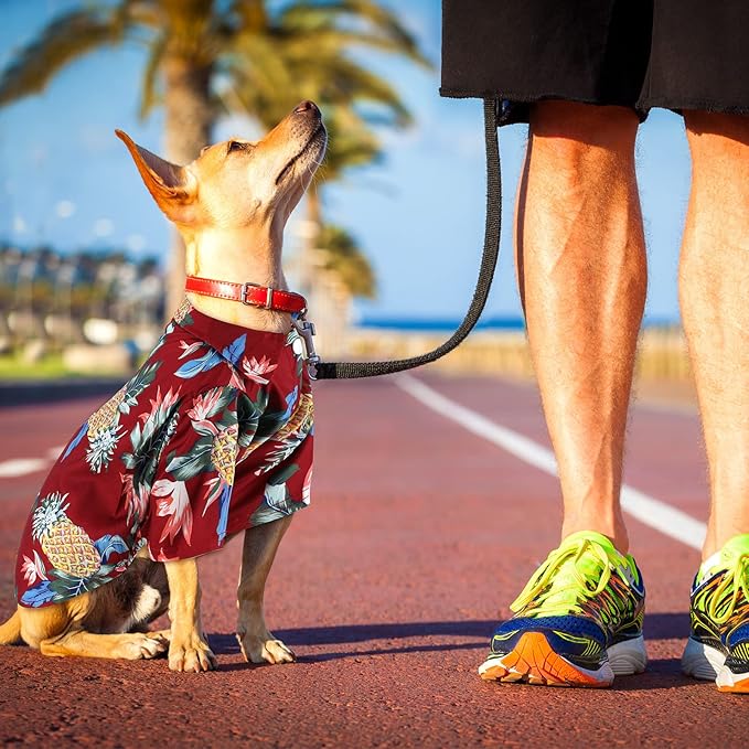 Weewooday 4 Pieces Small Pet Summer T-Shirts Hawaii Style Floral Pet Dog Shirt Breathable Cool Clothes Beach Seaside Puppy Sweatshirt for Puppy(Cute Style,Medium)
