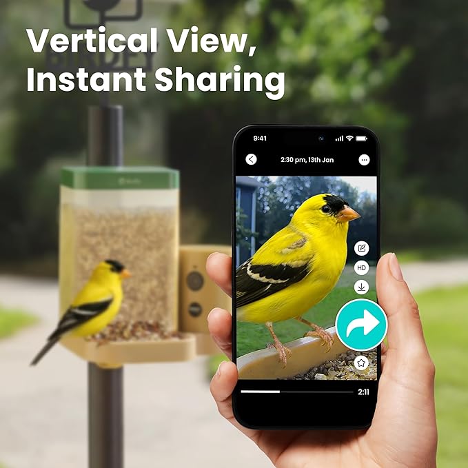 Birdfy Smart Bird Feeder with Camera for Rookie, Camera Bird Feeder Dual Night Vision, AI Recognition IP66 Waterproof for BirdLovers